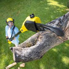 Best Lawn Watering Services  in Ashwaubenon, WI